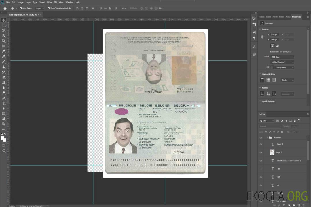 Passeport belge (2014-2017) template